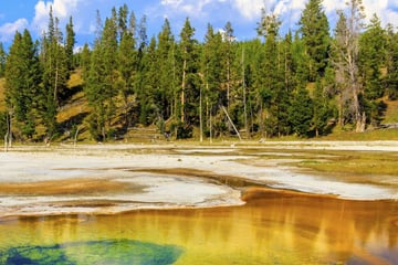 Upper geyser basin in Yellowstone National Park