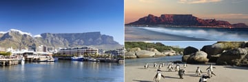 V&A Waterfront Marina (left), Table Mountain (top right), Boulders Beach (bottom right)