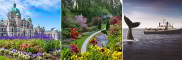 Scenery & whale watching in Victoria, Vancouver Island