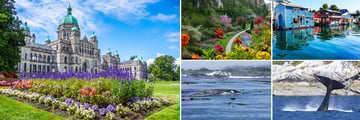 Scenery & Whale Watching in Victoria, Vancouver Island