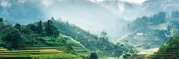 rice terraces vietnam
