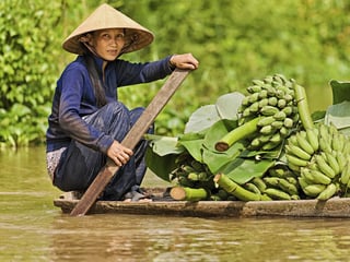 Vietnamese woman rowing her boat in the Mekong River, Vietnam