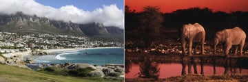 View of Cape Town & Elephants in Etosha National Park