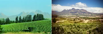 Views across the winelands