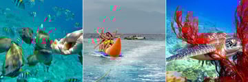 Glass Bottom Boat Trips, Watersports and Scuba Diving at Vila Ombak