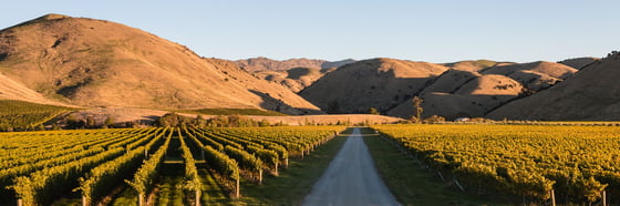 When is the best time to travel to New Zealand? | NZ travel inspiration