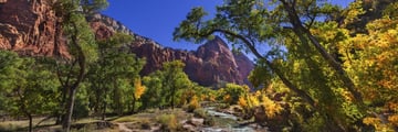 The Virgin River in Zion National Park 