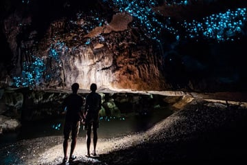 Discovering Waipu Cave Glow Worms