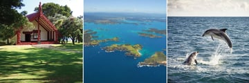Waitangi Treaty Ground, Bay of Islands aerial view & Dolphin Watching