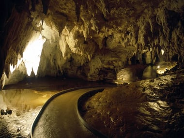 Waitomo Caves