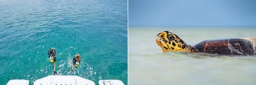 Waldorf Astoria Seychelles Platte Island diving