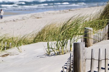 Walking along a beach in Cape Cod, Massachusetts