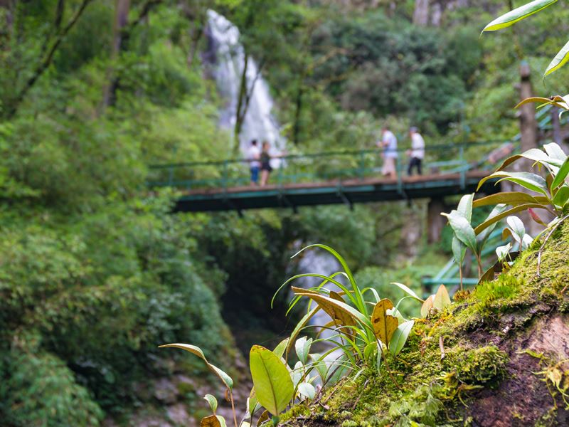 Walking in the forests of Sapa, Vietnam