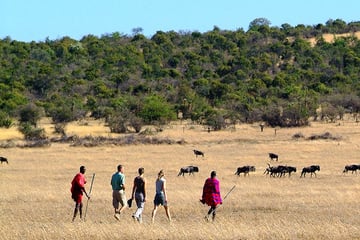 Walking safaris in Ol Kinyei Conservancy