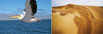 Walvis Bay & Namib Desert