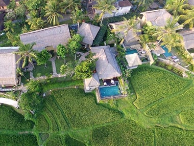 Aerial view of Wapa di Ume