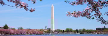 The National Mall in Washington DC