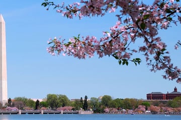 The National Mall in Washington DC
