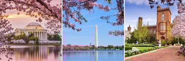 Famous sights in Washington D.C