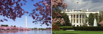 Iconic architecture in Washington, D.C
