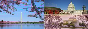 Famous sights of Washington D.C