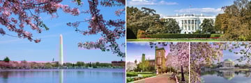 Sights and scenery in Washington, D.C