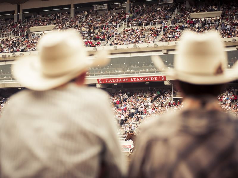 Watching roadeo events at the Calgary Stampede