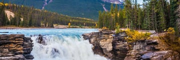 Athabasca waterfall, Jasper National Park