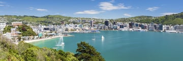 Wellington Bay Harbour