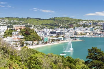 Wellington Bay Harbour