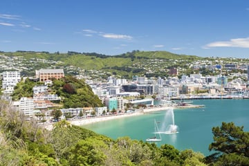 Wellington harbour
