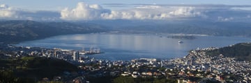 Wellington harbour