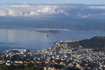 Wellington harbour