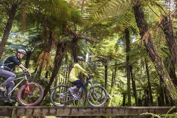 Whakarewarewa Forest, Rotorua