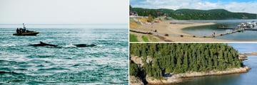 Whale Watching & Landscapes in Tasoussac, Quebec