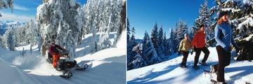 Snowy activities available in Whistler