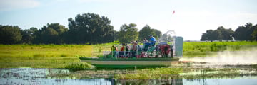 Airboat rides through the everglades in Kissimmee