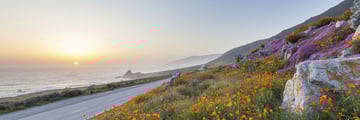 Big Sur Coastline
