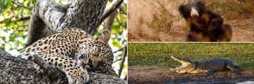 Wilpattu National Park