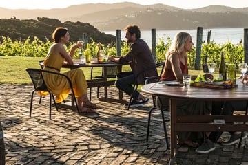 Wine tasting in the Bay of Islands