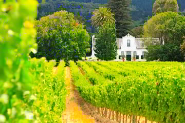 Cape Dutch Manor House in the Winelands
