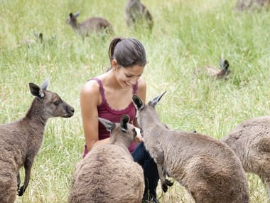 Kangaroo Island