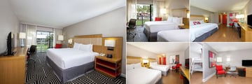 Wyndham Orlando Resort, (clockwise from left): Resort King Room, Premium Double Room, Family Fun Suite Master, Family Fun Suite Bunks and Resort Double Guest Room 