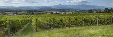 Yarra Valley, Victoria