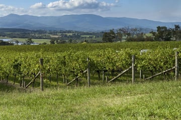 Yarra Valley, Victoria
