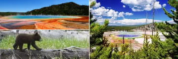 Yellowstone National Park