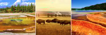 Yellowstone National Park, Wyoming