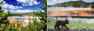 Yellowstone National Park