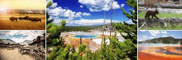 Sights and Wildlife in Yellowstone National Park & Jackson, Wyoming