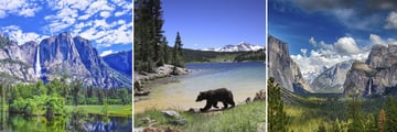Yosemite National Park, California